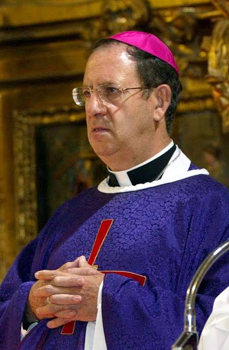 Imagen de Excmo. y Rvdmo. Sr. D. Rafael Palmero Ramos.